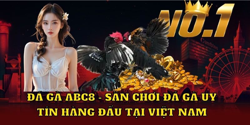 Đá gà ABC8 Sân chơi Đá gà Uy Tín hàng đầu tại Việt Nam