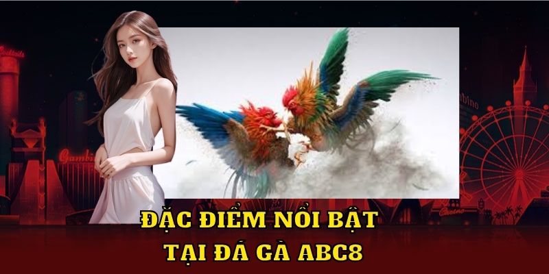 Đặc điểm nổi bật tại đá gà ABC8