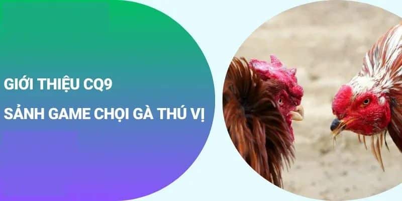 Tìm hiểu sảnh đá gà CQ9