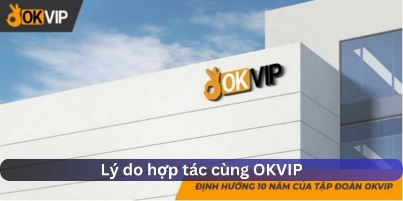 Lý do tập đoàn OKVIP